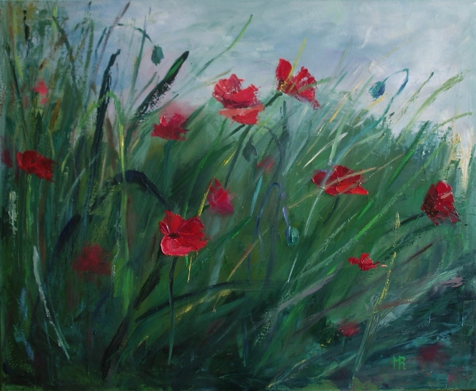 Maki polne / Field Poppies