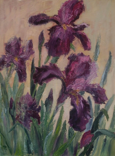 Ciemne irysy / Dark Irises